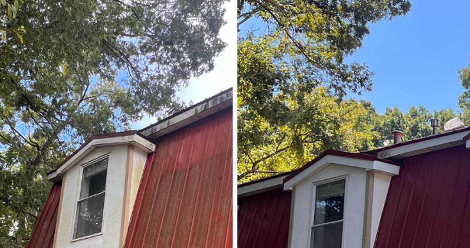 Metal roof cleaned by Omni Home, before and after