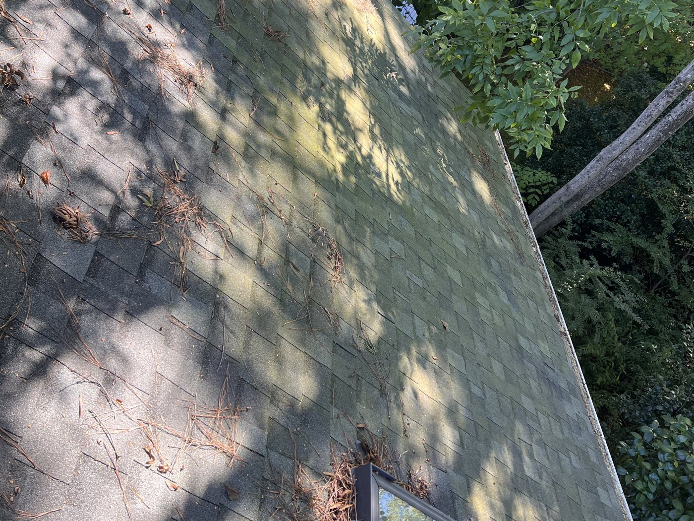 Roof covered in moss and debris, the kind of buildup roof cleaning removes